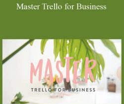 Boss Project – Master Trello for Business