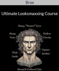 Brae – Ultimate Looksmaxxing Course