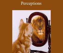 CR James – Perceptions