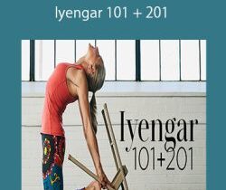 Carrie Owerko – Iyengar 101 + 201