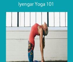 Carrie Owerko – Iyengar Yoga 101