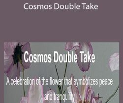 Catherine Oxley – Cosmos Double Take
