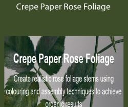 Catherine Oxley – Crepe Paper Rose Foliage