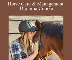 Centreofexcellence – Horse Care & Management Diploma Course