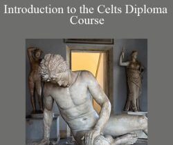 Centreofexcellence – Introduction to the Celts Diploma Course