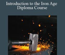 Centreofexcellence – Introduction to the Iron Age Diploma Course