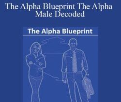Chris Nosal – The Alpha Blueprint The Alpha Male Decoded
