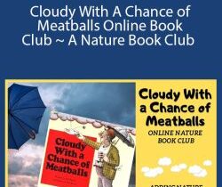 Dachelle McVey – Cloudy With A Chance of Meatballs Online Book Club ~ A Nature Book Club