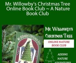 Dachelle McVey – Mr. Willowby’s Christmas Tree Online Book Club ~ A Nature Book Club