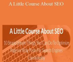 Daniel Fava – A Little Course About SEO