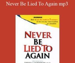 David Lieberman – Never Be Lied To Again mp3
