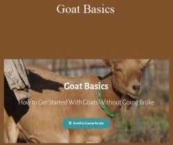 Deborah Niemann – Goat Basics