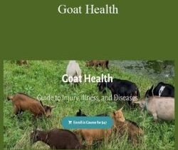 Deborah Niemann – Goat Health