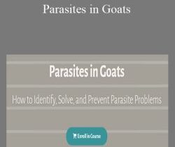 Deborah Niemann – Parasites in Goats