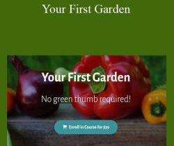 Deborah Niemann – Your First Garden