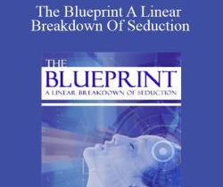 Derek Vitalio – The Blueprint A Linear Breakdown Of Seduction