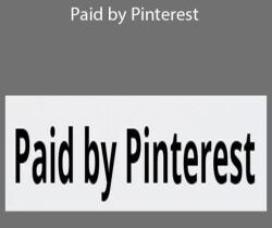 Elise McDowell – Paid by Pinterest