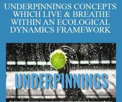Emergence – UNDERPINNINGS CONCEPTS WHICH LIVE & BREATHE WITHIN AN ECOLOGICAL DYNAMICS FRAMEWORK