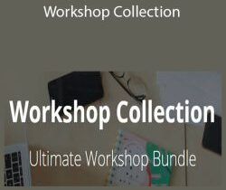 Erin Flynn – Workshop Collection