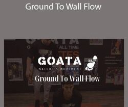 GOATA – Ground To Wall Flow