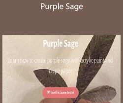 Janita Court – Purple Sage