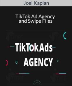 Joel Kaplan – TikTok Ad Agency and Swipe Files