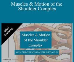 John Gibbons – Muscles & Motion of the Shoulder Complex