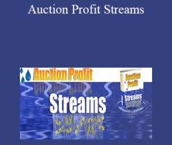 John Thornhill – Auction Profit Streams