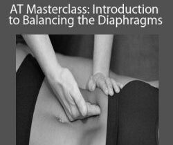 Julie Hammond – AT Masterclass: Introduction to Balancing the Diaphragms