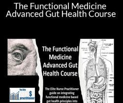 Justin Allan – The Functional Medicine Advanced Gut Health Course