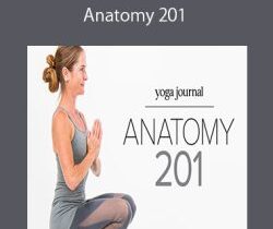 Karin Gurtner – Anatomy 201