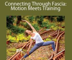 Karin Gurtner – Connecting Through Fascia: Motion Meets Training