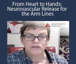 Kieran – From Heart to Hands: Neurovascular Release for the Arm Lines
