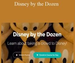 LJ Johnson – Disney by the Dozen