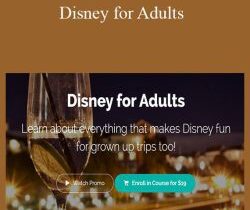 LJ Johnson – Disney for Adults