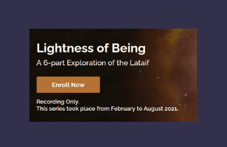 Lightness of Being Series With LB-LOB-EV