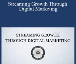Lucidious – Streaming Growth Through Digital Marketing