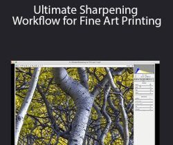 Mark Metternich – Ultimate Sharpening Workflow for Fine Art Printing