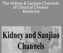 Master Jeffrey Yuen – ACCM – The Kidney & Sanjiao Channels of Classical Chinese Medicine