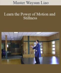 Master Waysun Liao – Learn the Power of Motion and Stillness