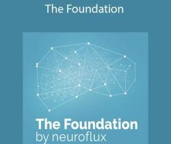 Neuroflux – The Foundation