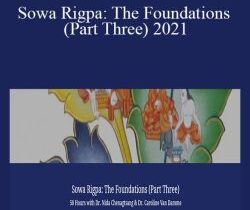 Nida Chenagtsang – Sowa Rigpa: The Foundations (Part Three) 2021