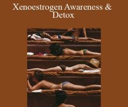 PrimalThrive – Xenoestrogen Awareness & Detox