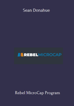 Rebel MicroCap Program With Sean Donahue