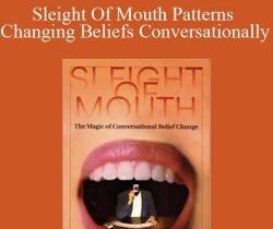 Robert Dilt – Sleight Of Mouth Patterns Changing Beliefs Conversationally