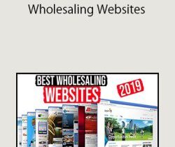 Ryan Moran – Wholesaling Websites