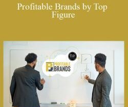Salman & Abdi – Profitable Brands by Top Figure