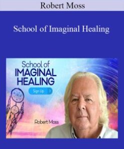 School of Imaginal Healing With Robert Moss