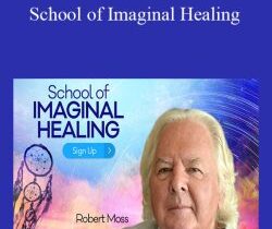 School of Imaginal Healing With Robert Moss