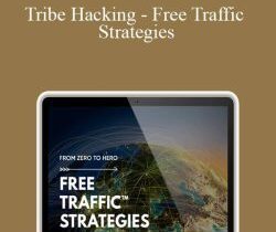 Sebastian Beja – Tribe Hacking – Free Traffic Strategies